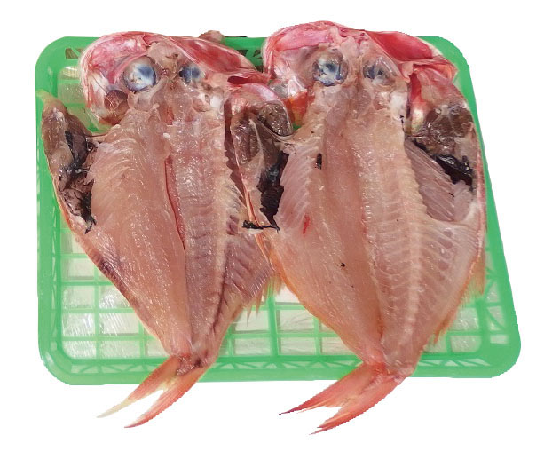 大きな金目鯛干物 (冷凍便330円)