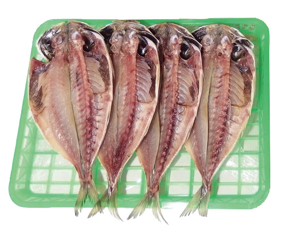大きな真アジ干物 (冷凍便330円)