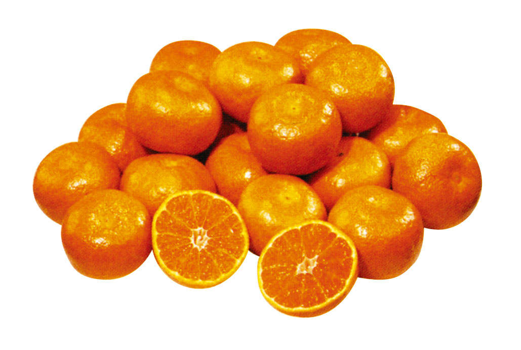 特大青島みかん３Ｌ１３kg　★冬季限定