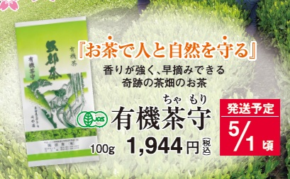 【新茶】有機茶守 5/1頃