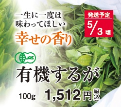 【新茶】有機するが 5/3頃