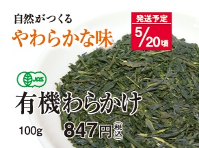 【新茶】有機わらかけ 5/20頃