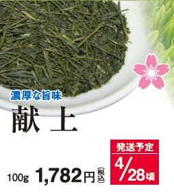 【新茶】献上 4/28頃