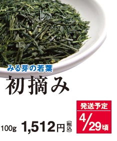 【新茶】初摘み 4/29頃