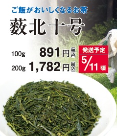 【新茶】薮北10号 5/11頃