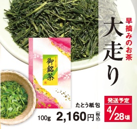 【新茶】大走り 4/28頃