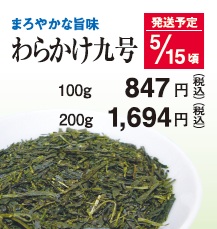 【新茶】わらかけ茶9号 5/15頃