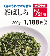 【新茶】茶ばしら 5/21頃