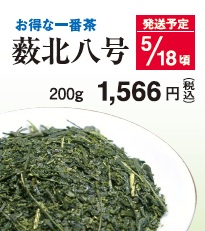 【新茶】薮北8号 5/18頃