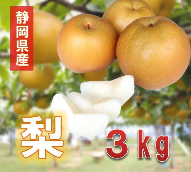 梨 ３kg ★８月下旬発送